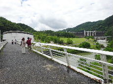 連絡路から日吉ダムを望む