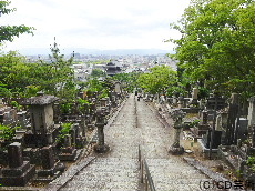 三重塔からの眺め