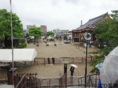 壬生寺会館２階から本堂を望む（開場中）